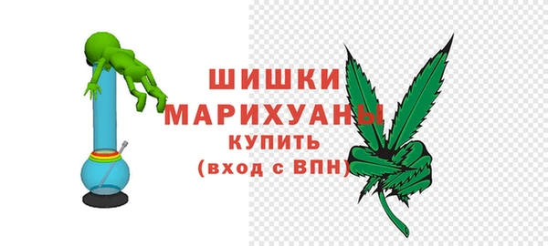 шишки Богородск