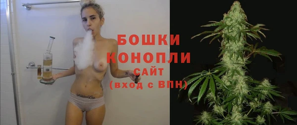 гашиш Богданович