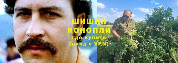 шишки Богородск