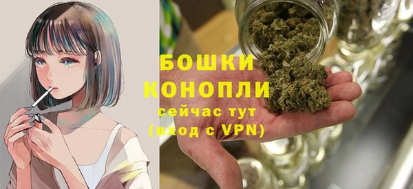 шишки Богородск