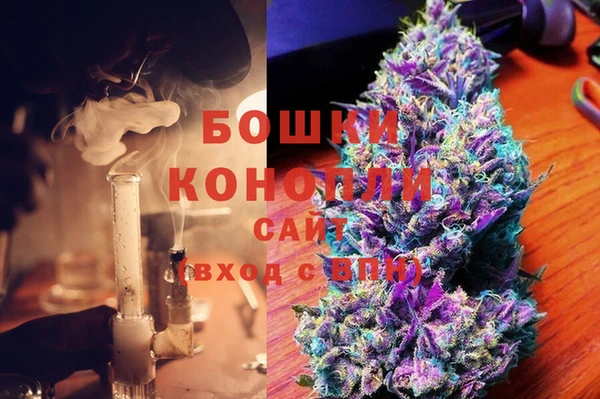 шишки Богородск