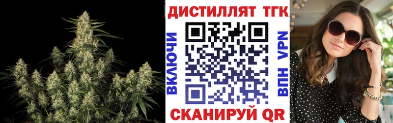 Дистиллят ТГК Wax Болотное