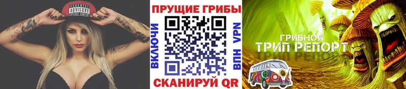 цены   нарко площадка Telegram  Псилоцибиновые грибы ЛСД  Болотное 